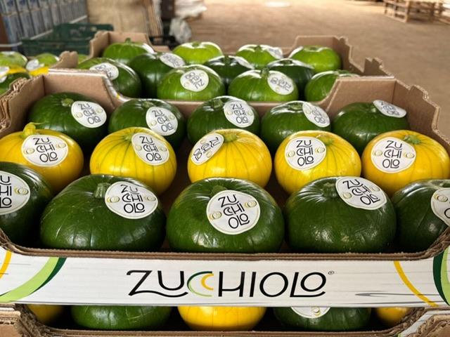 Les 3 variétés de zucchiolo, PortalFruticola.com