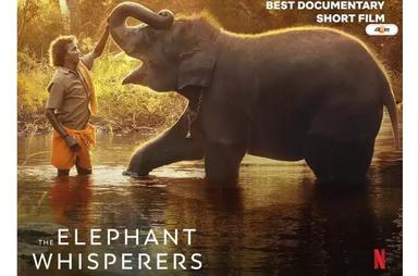 elephant whisperers