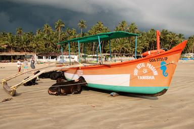 Bateau à Chennai en Inde