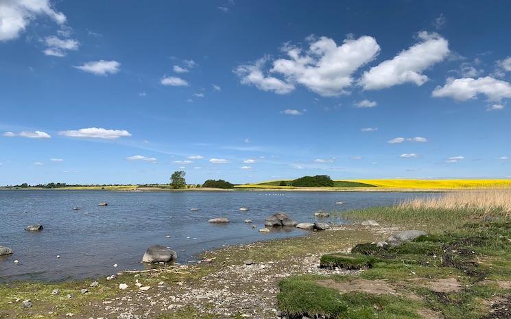 Le fjord de Roskilde au Danemark_0