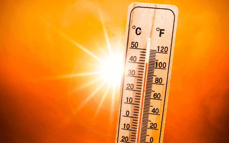 thermomètre pendant une canicule guide survie