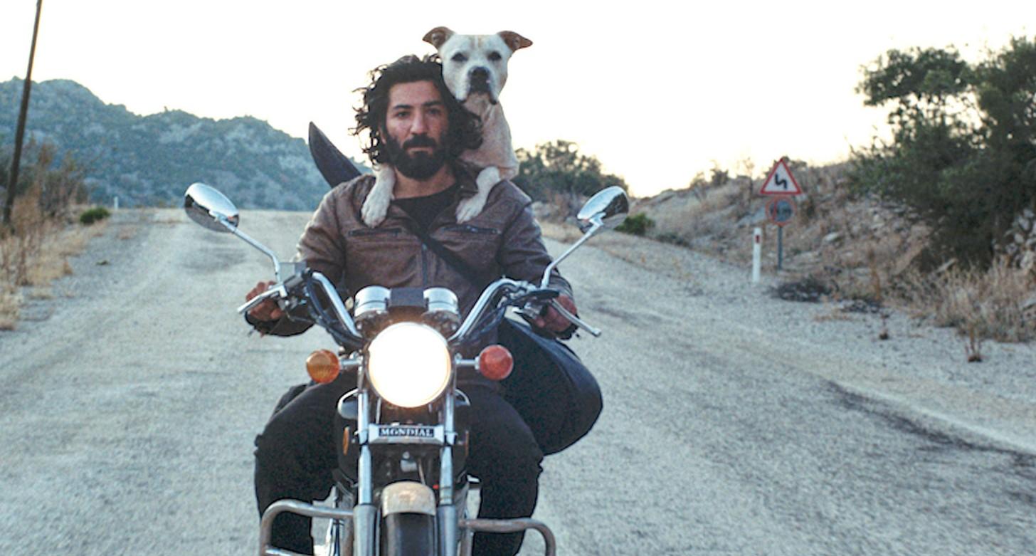 affiche festival du film turc