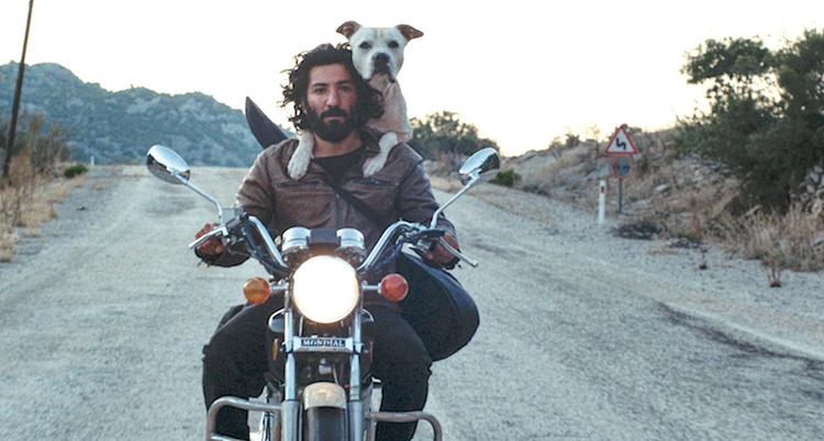 affiche festival du film turc