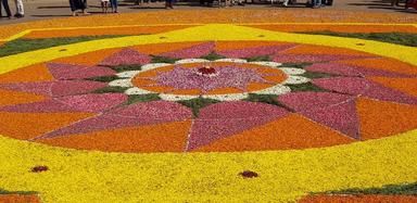 Un pookalam pour le festival d'Onam dans le Kerala