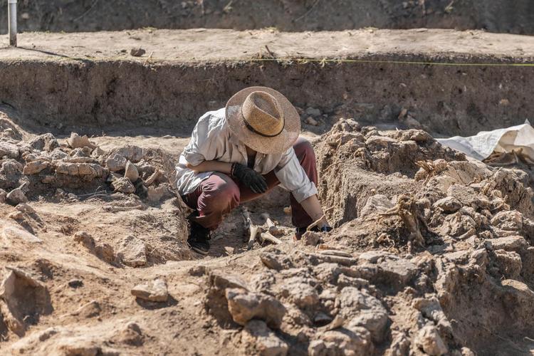 un archeologue 