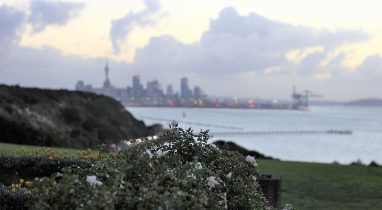 Auckland