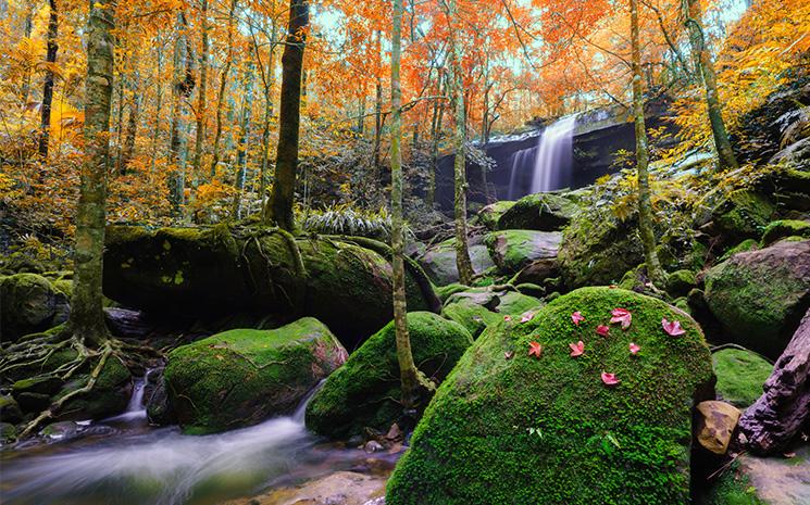 Phu Kradueng parc thailande