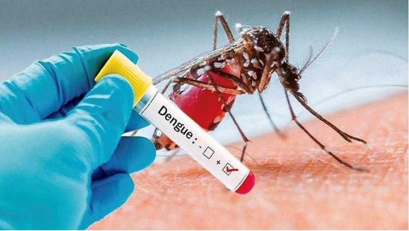 un moustique pique un bras, il est atteint de la dengue