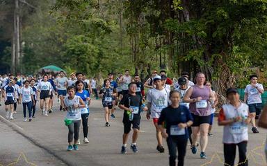 10 000 coureurs au semi marathon Angkor