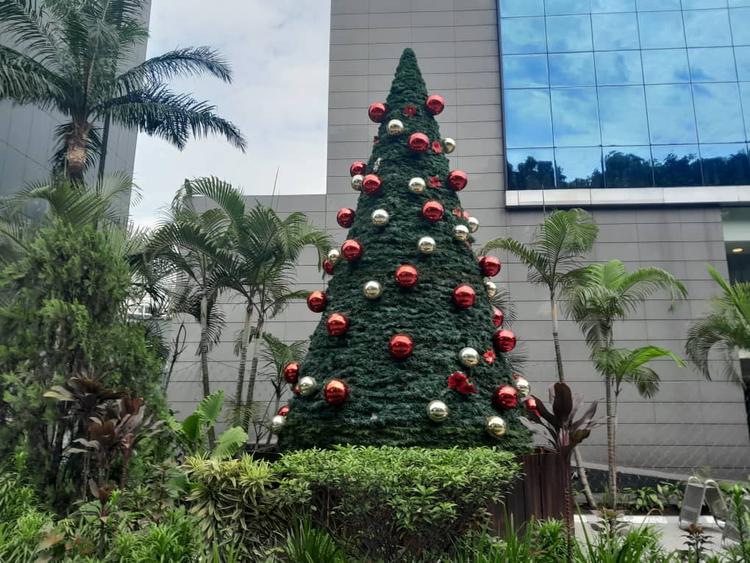 Sapin de Noël à Brazzaville