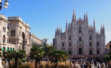 palmiers devant la cathédrale de Milan