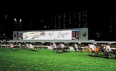 Hong Kong Horses race gamblings