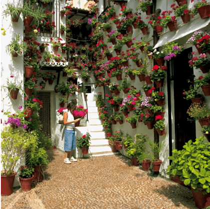 Jardin de Cordoue