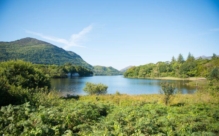 Le Parc National de Killarney