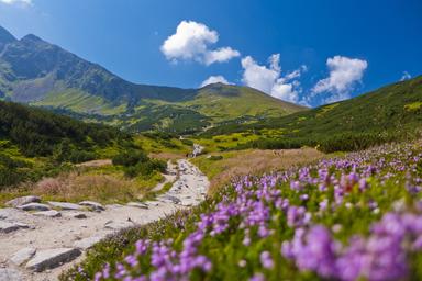 montagne tatry pologne