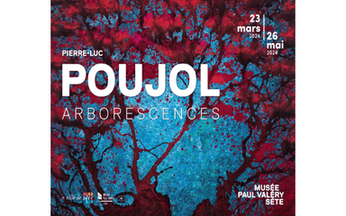  Pierre-Luc Poujol. Arborescences