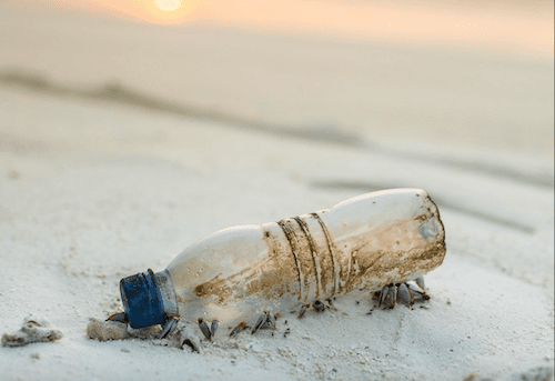 un déchet sur une plage des Maldives 