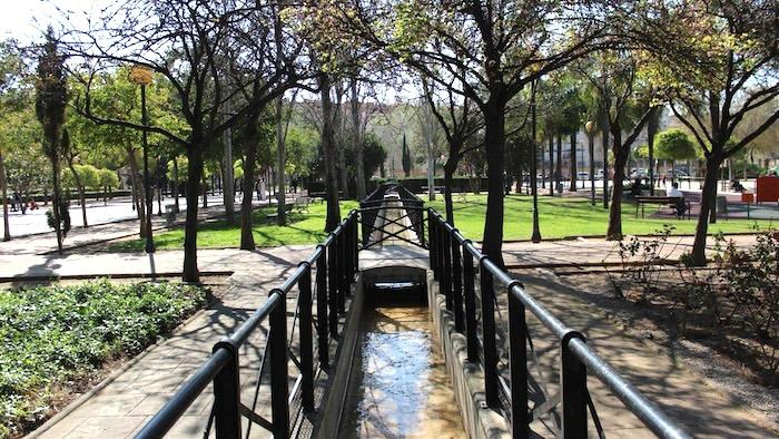 arbres dans un parc à valencia