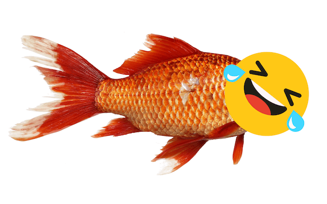 Poisson d avril