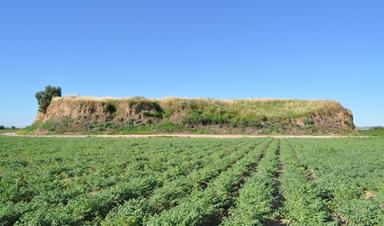 Vue aérienne du site archéologique de Cerro Macareno, à la Rinconada (Séville)