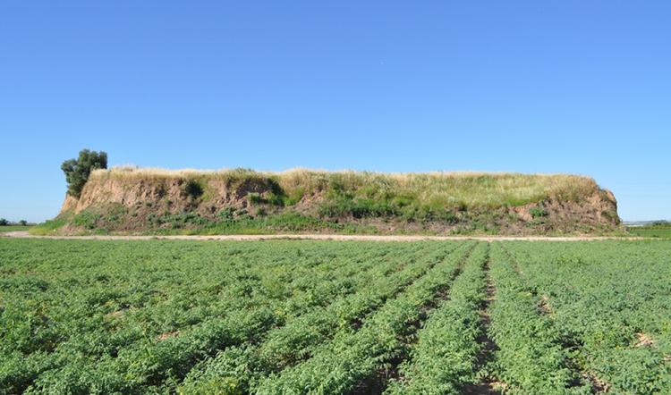 Vue aérienne du site archéologique de Cerro Macareno, à la Rinconada (Séville)