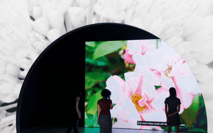 La 81ème Biennale au Whitney