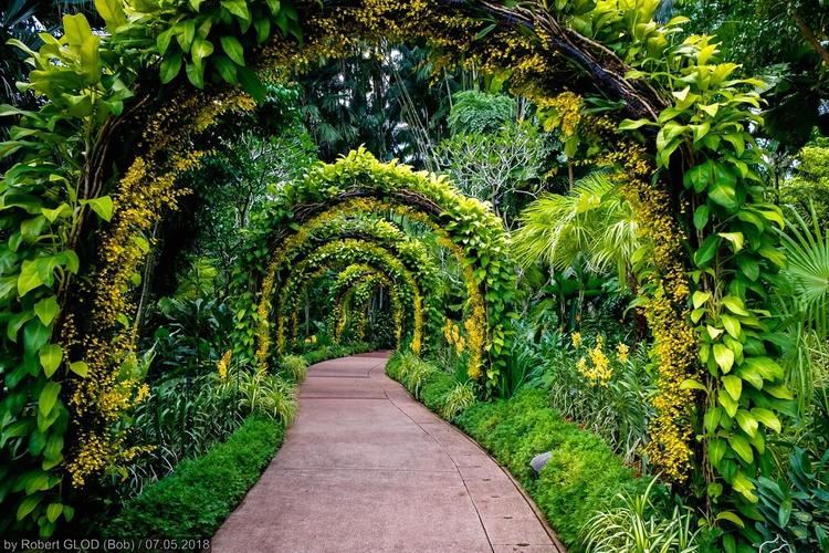 Le National Orchid Garden est situé dans les Botanic Gardens