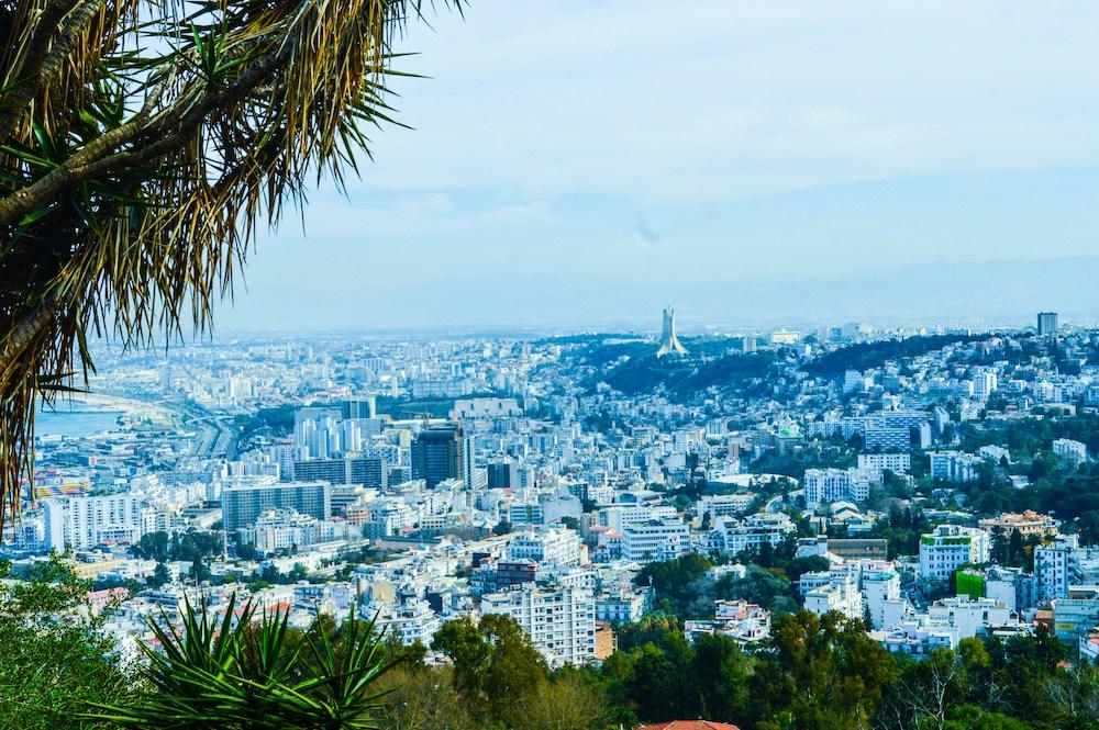 la ville d'alger vue d'une colline en plein été 