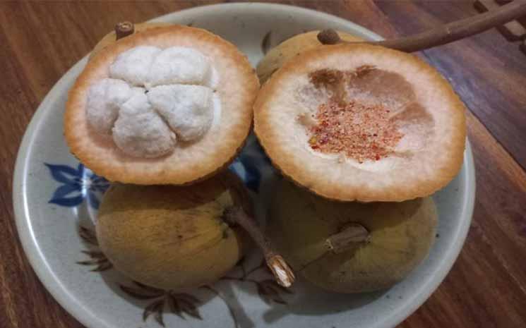 le santol