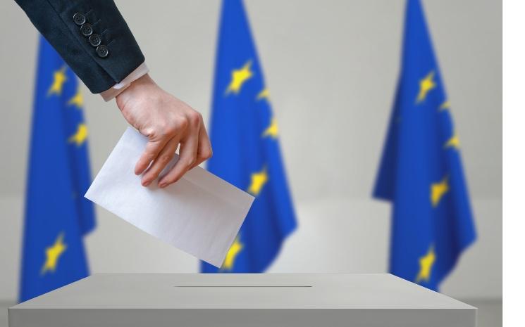 Quels sont les résultats des européennes 2024 chez les expatriés français ?