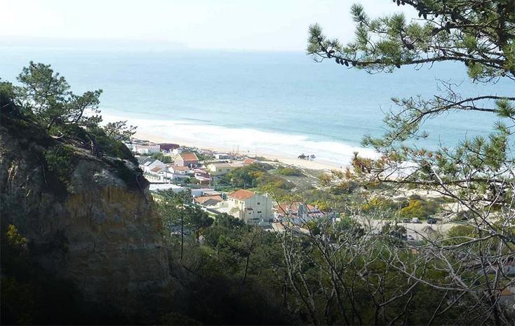 Ariba Fossil, Costa da Caparica au sud de Lisbonne