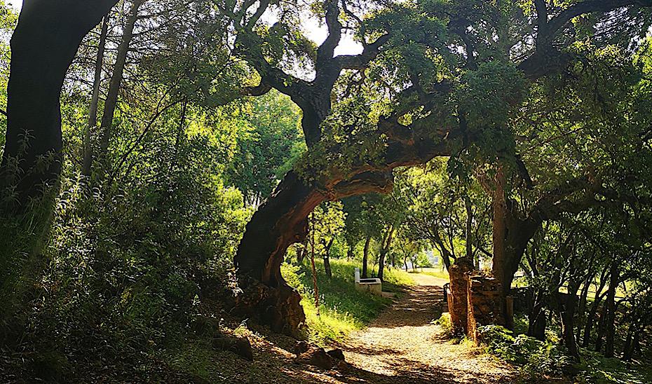 Sentier de randonnée entre Alájar et la Peña Arias Montano, Huelva