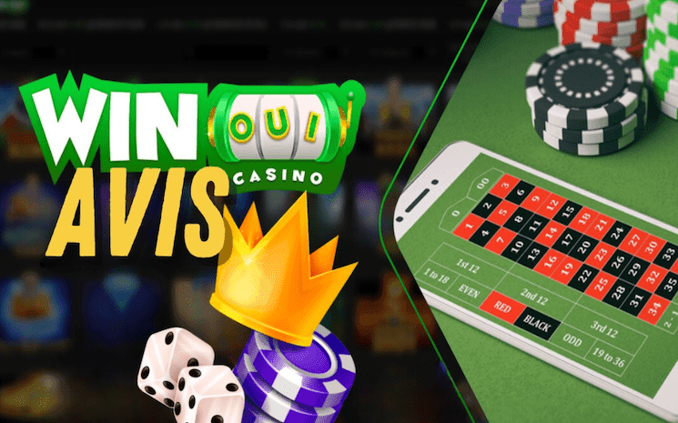 Winoui Casino | Avis 2024 et guide sur les jeux et bonus de ce casino 