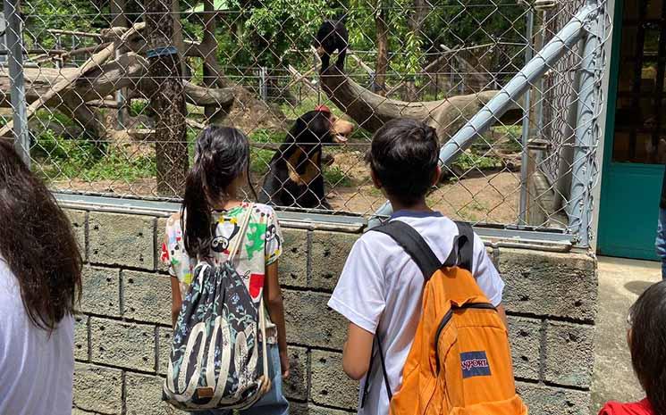 Enfants AEFC visitant Free the bears