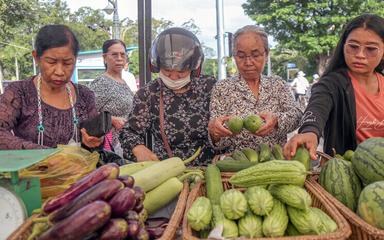 Photo marché légumes source AKP