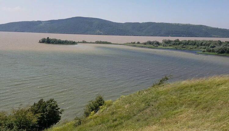 Danube Bazias