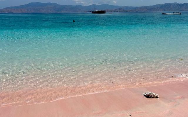 Pink Beach, plage en Indonésie 