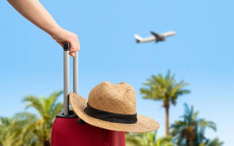 Comment bien choisir sa valise avant de partir en vacances ? 