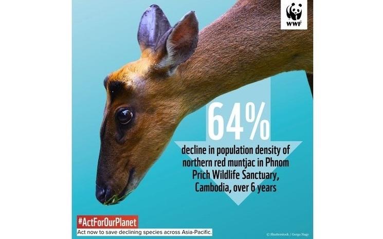 Photo : WWF Cambodia / Facebook