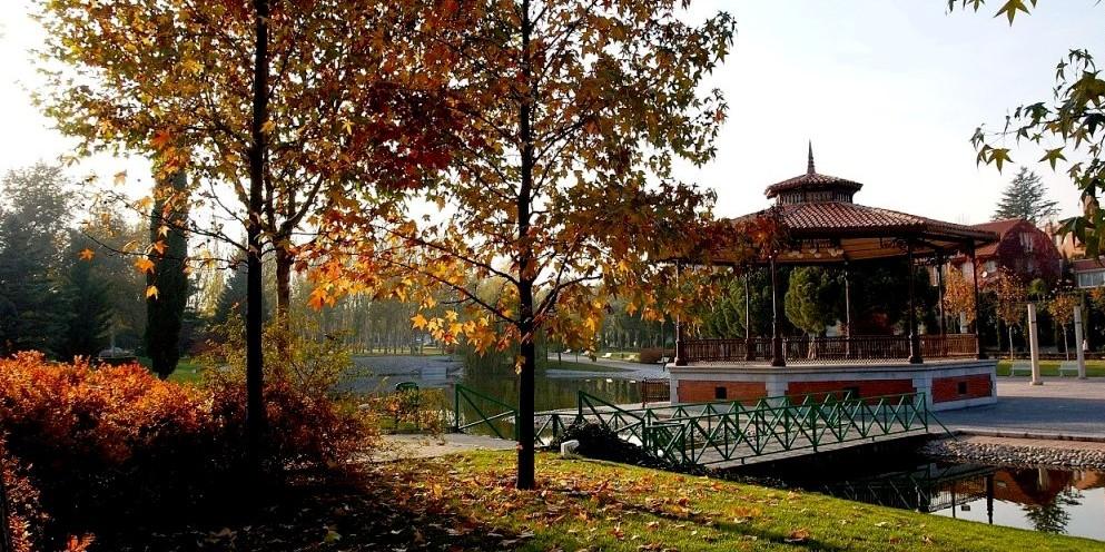 un parc en automne