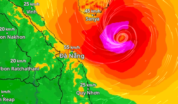 tempete 6