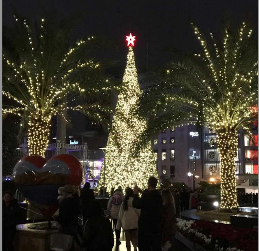 Illumination du Sapin de Noel sur Union Square San Francisco