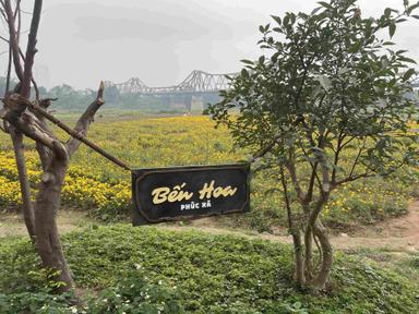 Long Biên fleurs champs Hanoï