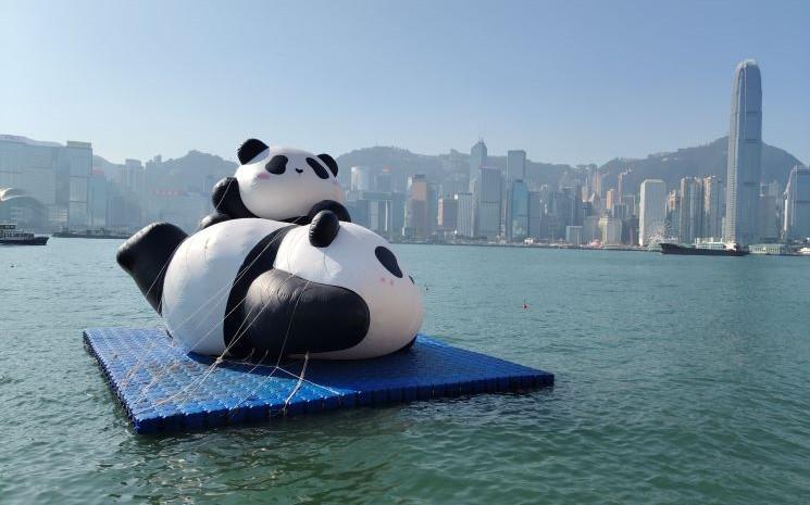 Pandas marins Hong Kong