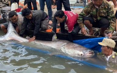 Photo : Wonders of the Mekong / Facebook