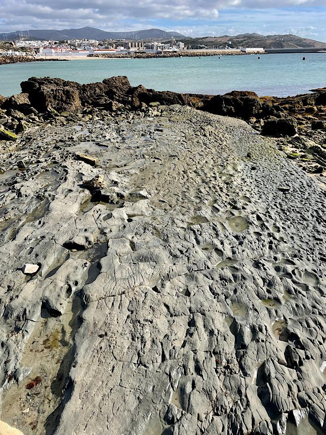 Halladas en Tarifa más de 600 huellas de animales con 800.000 años