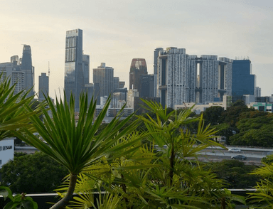 la verdure à singapour, le pendant des saisons 