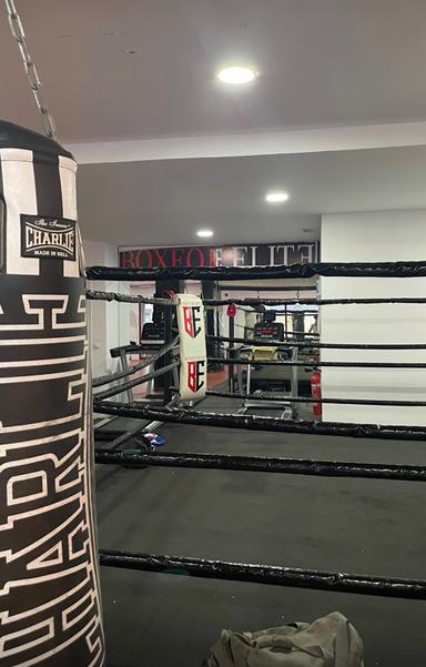Boxeo Élite  : une salle de boxe familiale qui fait transpirer Malaga