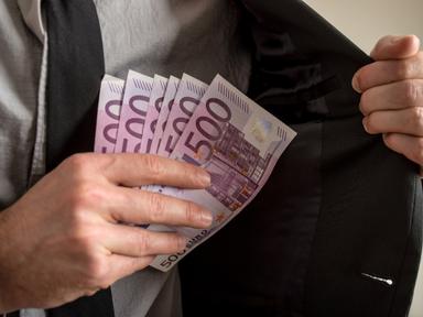 une personne avec des billets de 500 euros