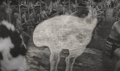 Une silhouette de moa superposée à des images d'archives d'une tribu maori
